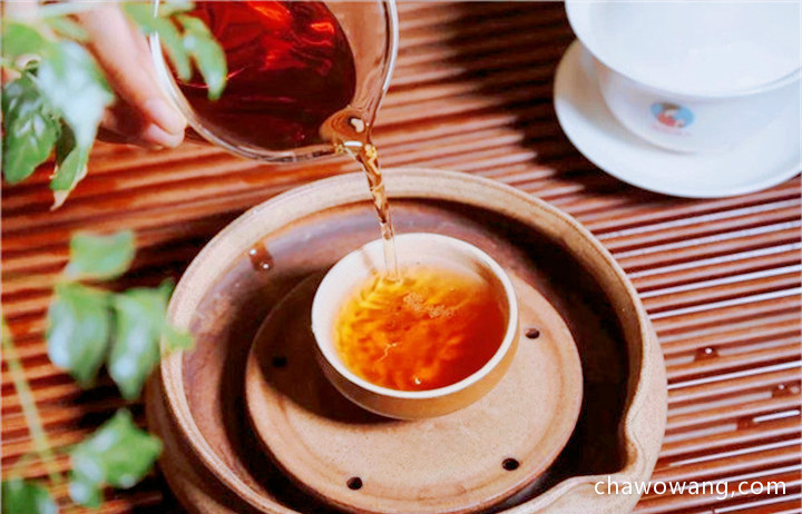 安化黑茶原料为什么是“粗枝老叶”？