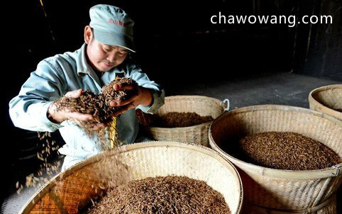 普洱茶和滇红茶制作工艺的区别