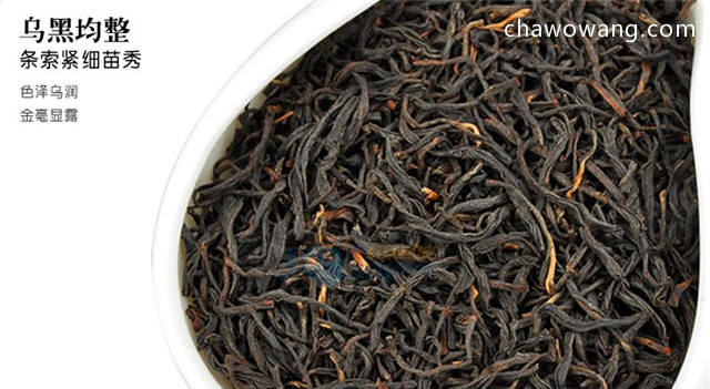 祁门红茶与大红袍的品质特征不同