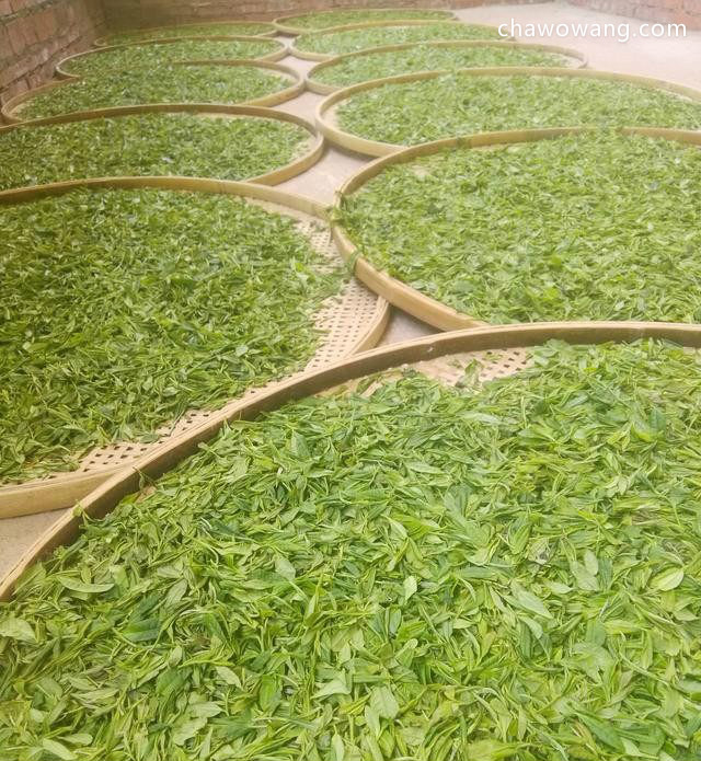 正山小种红茶的制作工艺流程