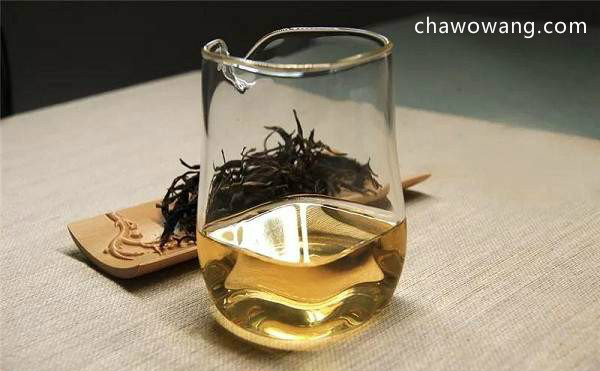 成熟的茶菁才能做出高级的乌龙茶
