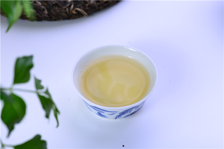 中国茶茶百科之福鼎白茶篇