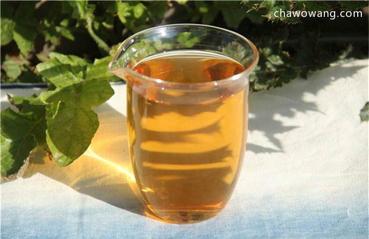 青茶最讲究香气品质的茶，非它莫属！