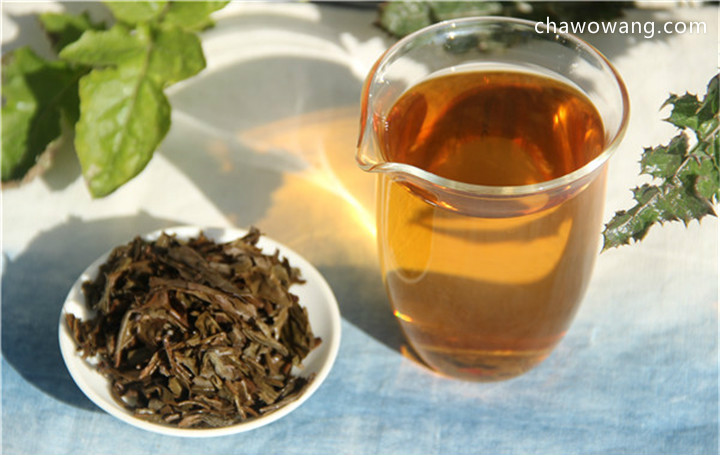 黑茶“益生菌”与灵芝媲美