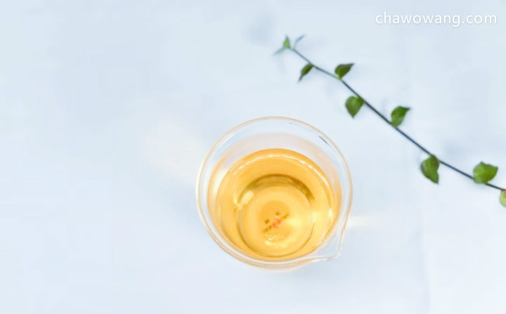 台湾乌龙茶的主要品种有哪些？