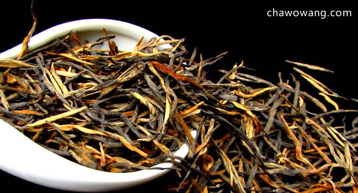 云南滇红茶是什么树