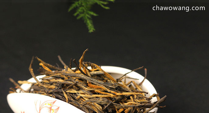 最好的滇红茶种类是哪一种