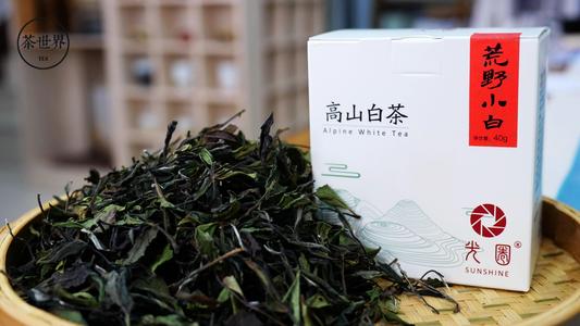 天天喝茶叶好处：长期喝绿茶有什么好处和坏处吗？