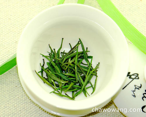 太湖翠竹是什么茶种？