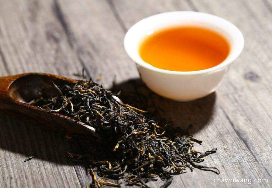 红茶怎么发酵？哪些因素影响红茶的发酵