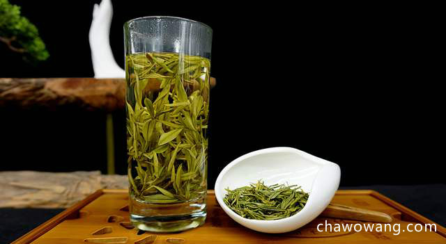10种人类千万不能喝绿茶