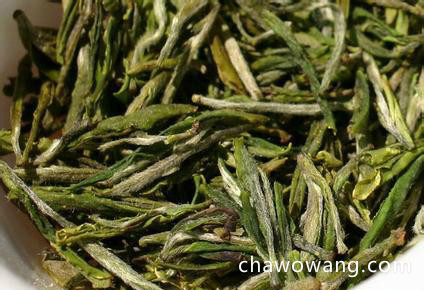 广东特产茶叶有哪些