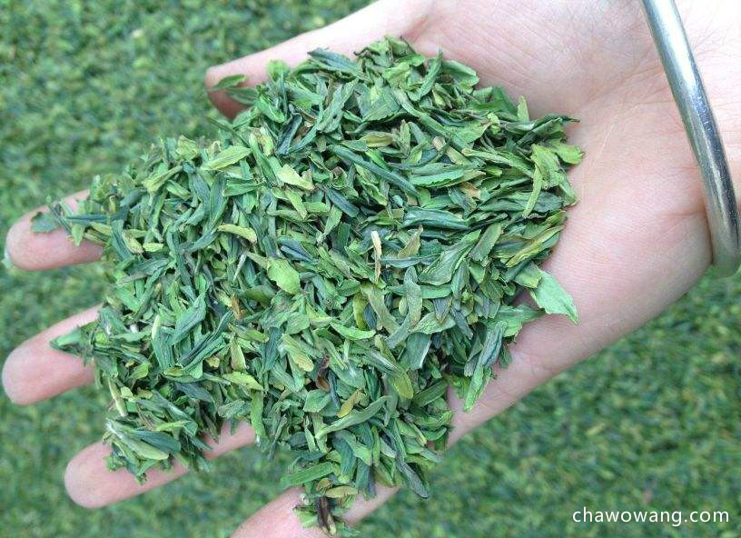竹叶青属于炒青绿茶吗