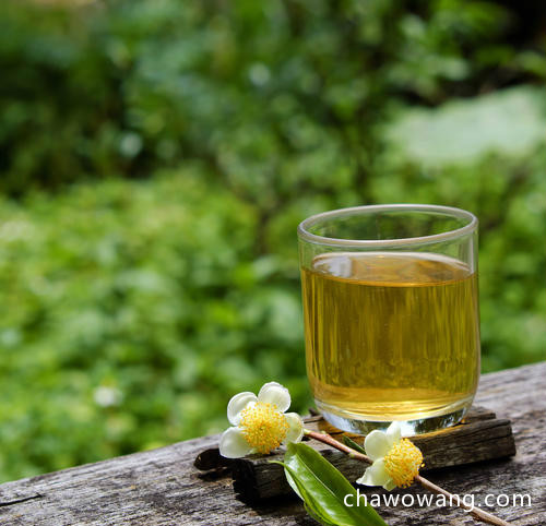 绿茶品种哪种好喝？