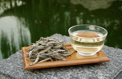 白茶属于什么茶性？