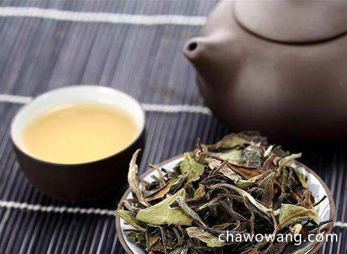 白茶种类有哪些 白茶的四大种类介绍