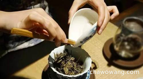 白茶有几种冲泡方法-白茶的冲泡方法大全