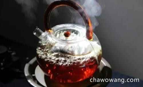 白茶怎么煮好喝 煮白茶的方法技巧