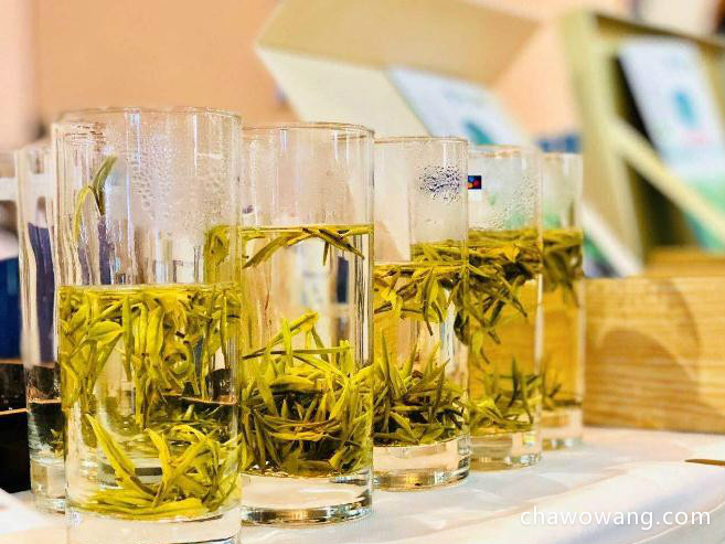 资溪白茶属于什么茶 资溪白茶的功效与作用