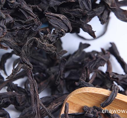 绿茶的保质期 陈年绿茶可以喝吗 陈年普洱茶的功效