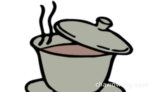 熟普洱茶冲泡后的样子 泡饮普洱茶宜用一沸的水冲泡