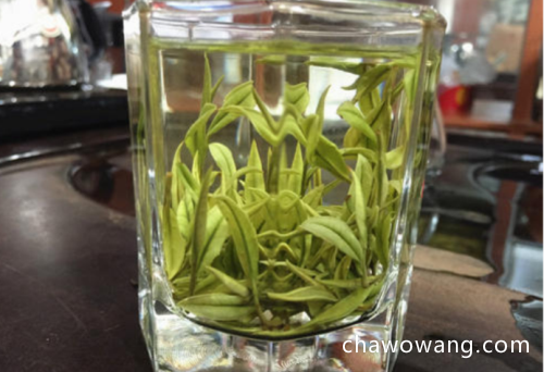 安吉白茶最贵多少钱一斤 2020最贵的安吉白茶价格售价详情