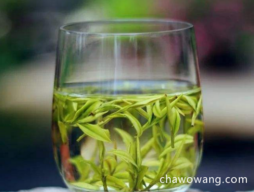 安吉白茶的主产区在哪里 安吉白茶的产地和功效及冲泡方法