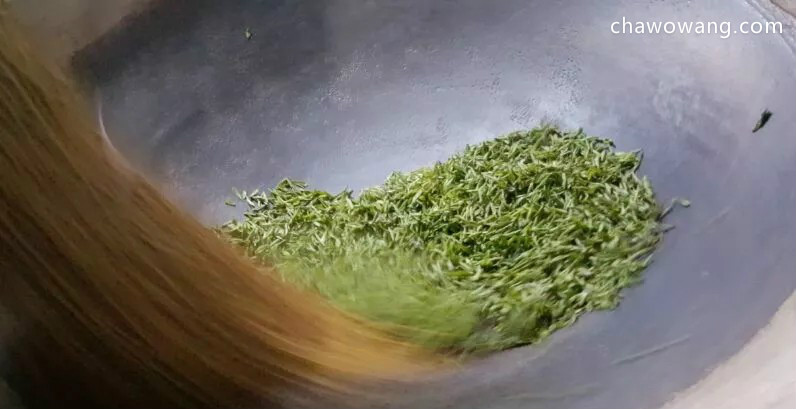 信阳毛尖属于炒青绿茶吗？