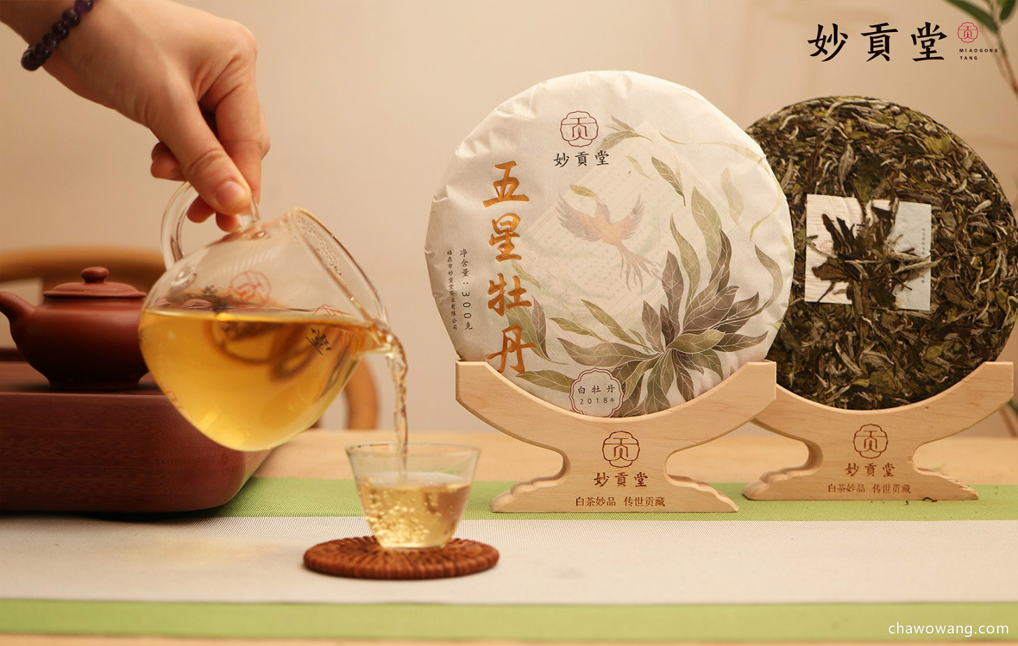 中国白茶品种排行