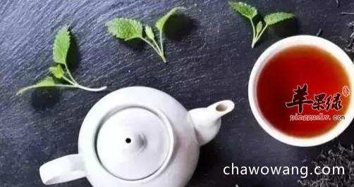 喝普洱茶可以减肥 教你选购优质普洱茶
