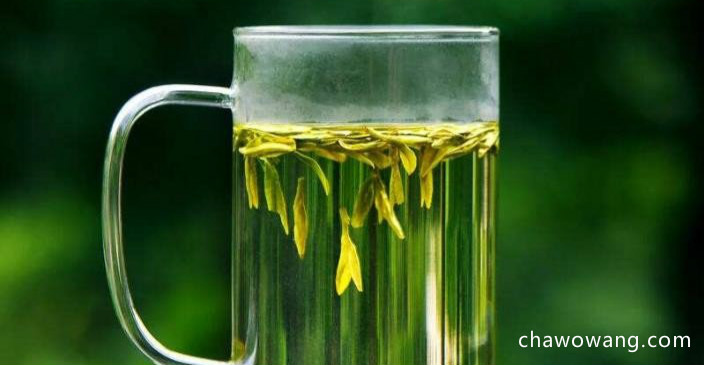 绿茶叶的功效与作用是什么