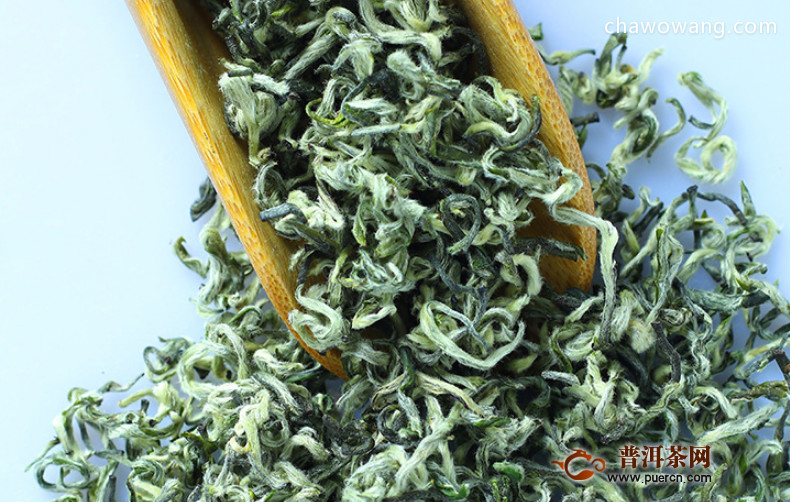 信阳毛尖属于什么绿茶