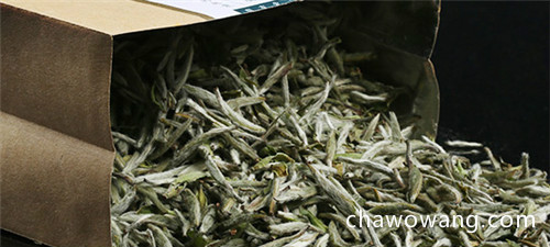 福鼎白茶是中国白茶真正的原产地