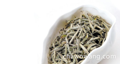 福鼎白茶是中国白茶真正的原产地