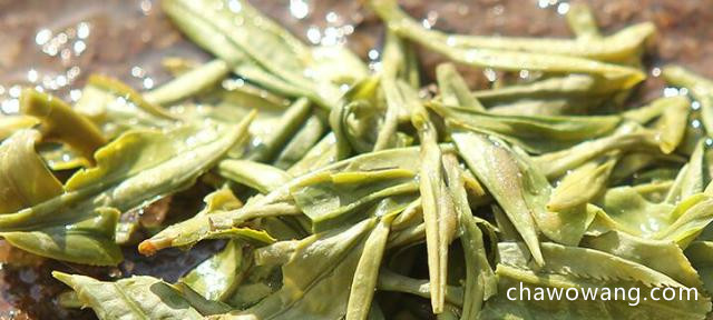 西湖龙井绿茶的好处与作用