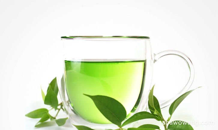 崂山绿茶喝了有什么功效与作用
