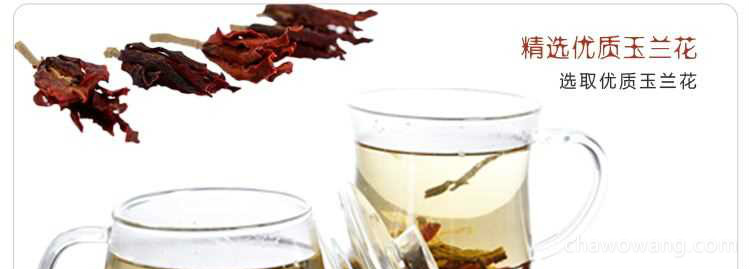 玉兰花茶的营养价值 玉兰花茶的功效与作用