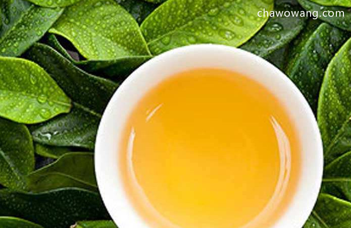锡兰红茶产地在哪里 锡兰红茶品种