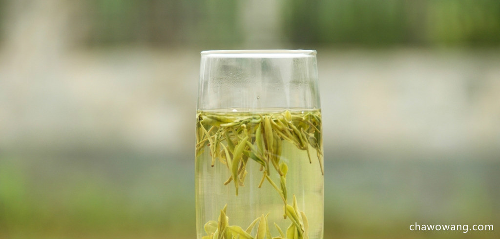 霍山黄芽属于什么茶叶类型