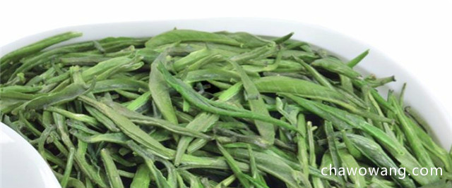 湄潭翠芽和雀舌的区别，湄潭翠芽属于雀舌茶的一种！