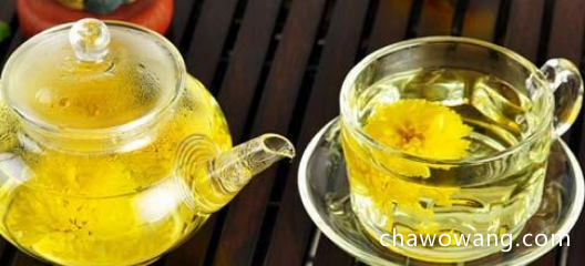 喝哪种菊花茶比较好 经常饮用哪种菊花茶对身体最好