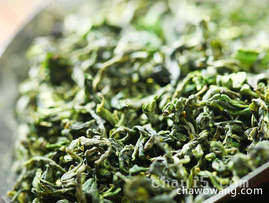 日照绿茶的功效与作用 日照绿茶的禁忌事项
