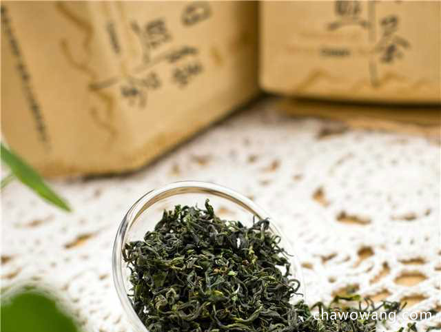 日照绿茶的品牌有哪些，日照绿茶10大品牌推荐！