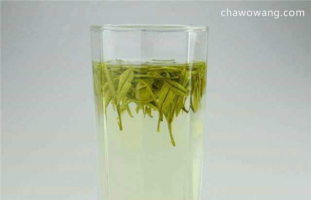 黄山毛峰和安吉白茶哪个好喝？