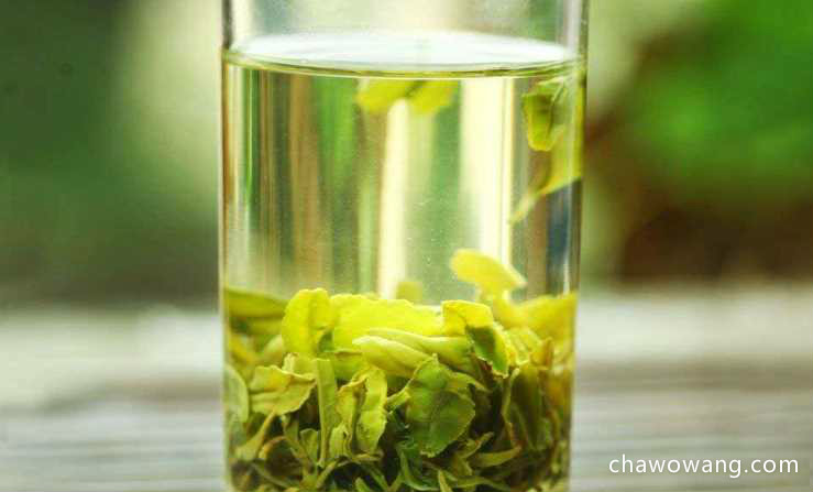 日照绿茶的营养成分 日照绿茶的功效