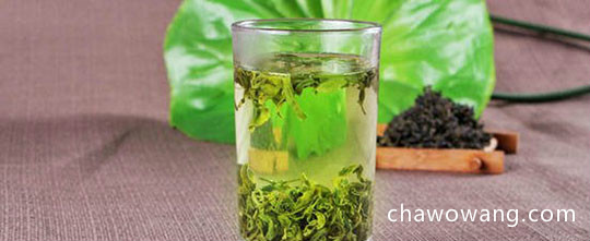 日照绿茶的冲泡方法，7步泡出好喝的日照绿茶
