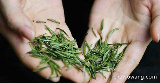 竹叶青茶算哪个档次？是中国高端绿茶的代表！