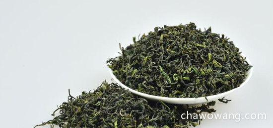 日照绿茶有哪些品种呢？日照绿茶的品种介绍