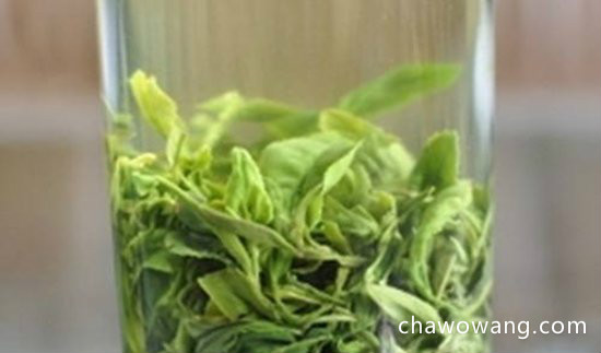 常喝日照绿茶的八大好处 日照绿茶的功效与作用是什么
