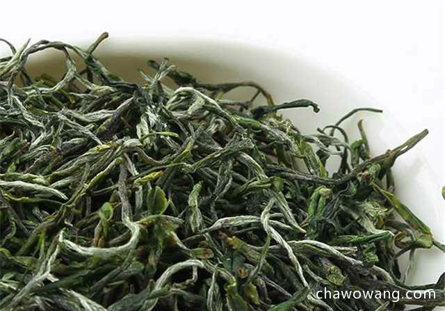 英山云雾茶是绿茶吗？是来自高山的名优绿茶